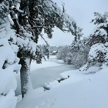 Au Petit Bonheur شاليه Saint-Sauveur-Camprieu