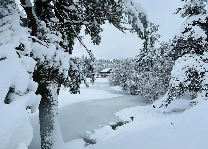 Au Petit Bonheur Chalet Saint-Sauveur-Camprieu